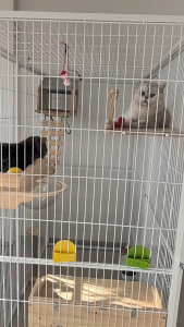 Cat Climbing Frame Space Capsule Bracket Cat Cage Climbing Frame Stairs Climbing Plate Round Cat Toy