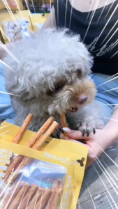 Snack cho chó Gặm sạch răng Collagen Altimate gói 90gr