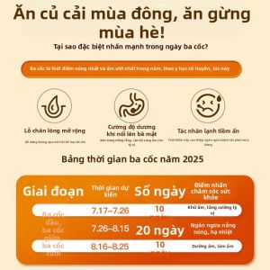 LIANGQINBAODOU | Bột Gừng Sạch Chưng Cửu Tán Cửu 100% Nguyên Chất
