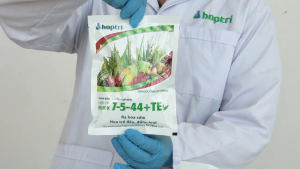 ( Hợp Trí ) HK NPK 7-5-44+TE (250G) - PHÂN BÓN LÁ HỖN HỢP NPK - RA HOA SỚM HOA TRỔ ĐỀU ĐỒNG LOẠT - Hàng Hiệu Chính Hãng