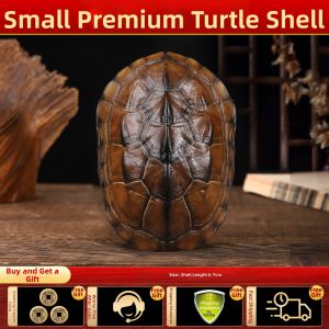 SHANYANG | Genuine Turtle Shell Divination Tool for I Ching Reading