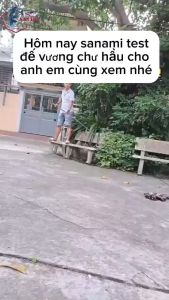 Cần câu tay Đế Vương Chư Hầu 6H [Bh 1 năm 1 lóng] [Bán Lóng Thay Thế]  chuyên săn hàng CT15 - Sanami Fishing