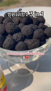 ชุดเลี้ยง 3 in 1 ขนาดปกติ