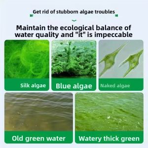 MONLEYTA | Algae Remover For Aquarium Fish Tank Black Hair Algae Removal Green Water Brown Algae Control Fish Safe Chemical Solution