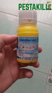 [Chính hãng] Fendona 10SC (1 Lít) - Thuốc diệt muỗi côn trùng kiến ba khoang bọ chét của BASF