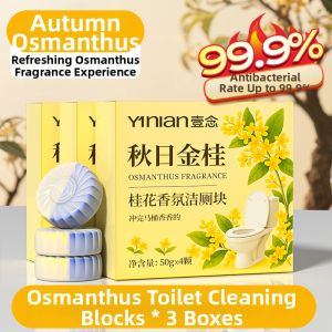 Yinian | Powerful Deodorizing Toilet Cleaner
