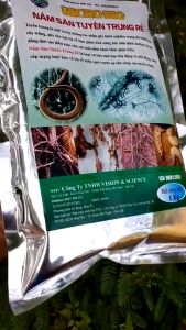 TUYẾN TRÙNG RỄ Ngăn Vàng Lá Bứu Rễ Héo Xanh Gói 1kg