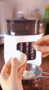 12-in-1 Multifunction Egg Cooker Yogurt Maker Steamed Egg Boiler Half Boiled Egg Maker 24H Preset 300W