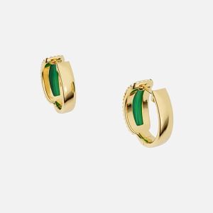 Golden Colored Turquoise Hoop Earrings