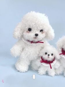 Adorable White Teddy With Skeleton Versatile Design Delicate Huggable Dog Doll Lovely Gifts For Friends