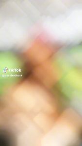 Kemoceng Bulu Ayam Warna Kemuncing: Aksesoris Tradisional Indonesia