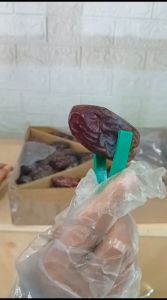 KURMA MEDJOOL PALESTINE WATAN 250GR VIP QUALITY PREMIUM