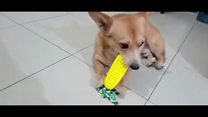 Pet Toys Bite-Resistant Vocal Chew Teeth Cleaning Large Dog Toy Development Play Fun Activity Dog Chewing Corn Toy