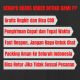 ELYA RACING 13