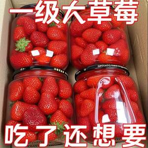 Fresh Strawberry & Peach Canned Fruits 510g