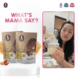 MamaBear Official Store Kookie Bite Cookies Choco Nut Flavour - Less Sugar (150g)