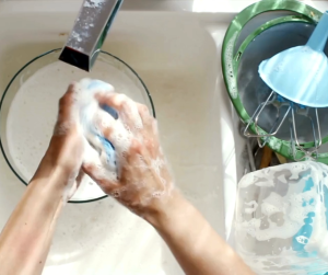 Dishwashing Liquid 750ml
