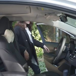 Floweroma Home/Car diffuser aroma wood Essential Oil diffusing wood Fragrance wood