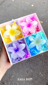 Hộp quà tặng 4 Kẹp tóc càng cua hoa sứ tặng kèm thiệp đèn led sang chảnh siêu hot