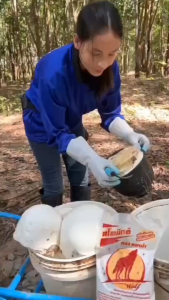 สโตนิกซ์ ตรา หมาป่า ผงเพิ่มน้ำหนักยางก้อนถ้วย ช่วยให้ไม่บวมน้ำ ยางรัดตัวไว ยางเนียนสวย บรรจุ 1 กิโลกรัม ของแท้ แน่นอน