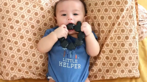 Lusty Bunny Disney Waterfilled Ring Teether Mainan Gigitan Bayi Isi Air