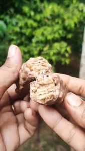 Chocolate Safari Chocolate | (Caramel Crisp) Imported Saudi New Stock 32g