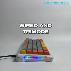 LEAVEN K610 Tri-Mode Wired Hot-Swappable Mechanical Gaming Keyboard Leaven K610 Tri Mode K810 Keyboard K620 Keyboard Logitech K330 Keyboard Logi K470 Keyboard - Lazada