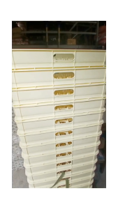 DIY Center 1pc 60 Capacity Tray for Egg Incubator or Transporting Eggs / Crate