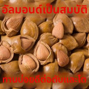 Hand Cracked Light Shell Roasted Almonds Unflavored
