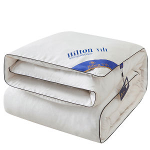 Hotel Zen Silk Cotton Quilt Two-In-One Mother-Child Air Conditioning Summer Cool Winter Thickened Silk Double Bedding