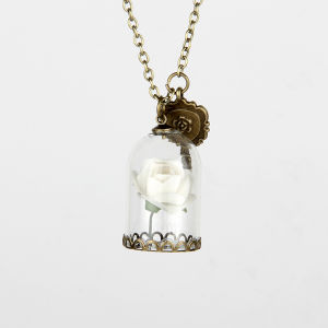 Beauty and the Beast Necklace Rose in Terrarium Pendant His Beauty/Her Beast Fairy Tale Movie Victorian Jewelry anniversary gift