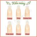 Nailbox - Móng Úp Thiết Kế Thủ Công Mẫu Thạch Gạo Nâu Tráng Gương Ngọc Trai Trắng Kết Hợp Hợp Tráng Gương Metalic Và Đính Đá. 