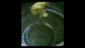 Chasen Bamboo 120 Prongs Whisk / Pengaduk Matcha Bambu / Original Matcha Japan / Matcha Whisk Bamboo Brush Green Tea Powder Chasen Tool/ Pengocok Teh Jepang Green Tea Powder