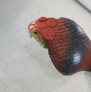 งูปลอม งูยาง ตัวใหญ่ ยาว 26นิ้ว งูปลอมไล่นก ไล่จิ้งจก ตัวใหญ่เหมือนจริง