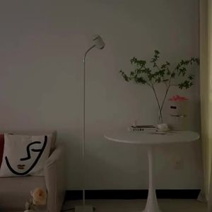 YOULIMEIJIA | Atmospheric Sunsetting Lamp High-Grade Living Room and Studio Background Lighting