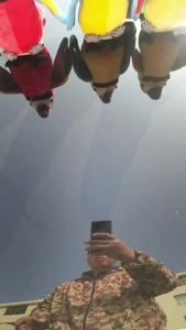 Oldlaiben  นกแก้วพูดได้ ทุกภาษา สั่นศีรษะและกระพือปีกได้ ตุ๊กตานกแก้ว ของเล่นเด็ก