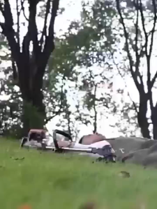 【แบตลิเธียม50000mAh*2】นำเข้าโดยเยอรมนี เครื่องตัดหญ้าไฟฟ้า ใช้งานทั้งวัน 3980w มอเตอร์พลังงานสูง ไร้สาย เบาสะดวก เครื่องตัดหญ้าแบต ไร้สาย ยืดได้ เครื่องตัดหญ้าไฟฟ้า มีการรับประกัน ประสิทธิภาพสูง ใช้งานต่อเนื่องนาน