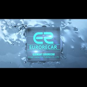EURORECAR Gasless Flux Cored Welding Wire Self-Shielded 1kg Spool for Stainless Steel MIG Welding