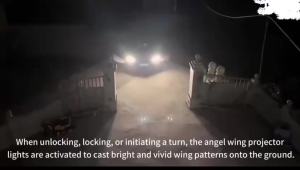 1 Set Angel Wings Welcome Light LED Door Side Rearview Mirror Car Decoration Welcome Light Universal Floor Auto Accessories