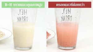 YTL ทรายแมวเต้าหู้-6Lทำจากพืชธรรมชาติมี 6 กลิ่นให้เลือก