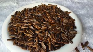 เมล็ดทานตะวัน มีเปลือก อบกลิ่นวอลนัท พร้อมทาน หอม กรอบ อร่อย เคี้ยวเพลิน ธัญพืชเพื่อสุขภาพ