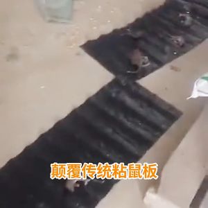 ถูก จากกรุงเทพ กาวหนู แผ่นกาวดักหนู ดำยาว กาวดักหนู แบบสำเร็จรูป เหนียวหนึบพิเศษ ติดทน ไม่ไหลเยิ้ม ปลอดสารพิษ แบบผลง่าย การใช้งานง่าย เก็บได้นาน