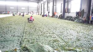 Leaf camouflage clothes Ghillie Suit Leaf-like Camouflage Clothing 3D Forest Game Costumes Cloak Pseudo Clothing