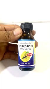 เมทิลยูจินอล ( สารล่อแมลงวันทอง ) ขนาด 30 ซีซี สารล่อแมลงวันทองตัวผู้ ใช้ง่าย ได้ผลดี