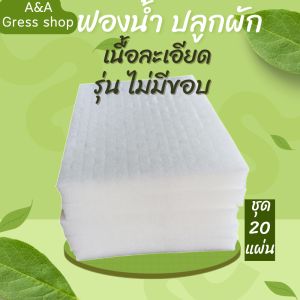 ฟองน้ำปลูกผัก ฟองน้ำปลูกผักไฮโดรโปนิกส์ ฟองน้ำปลูกผักสลัด(ชุด20แผ่น)รุ่นไม่มีขอบ 96ช่องปลูกเนื้อละเอียด ใช้สำหรับปลูกผักไฮโดรโปนิกส์