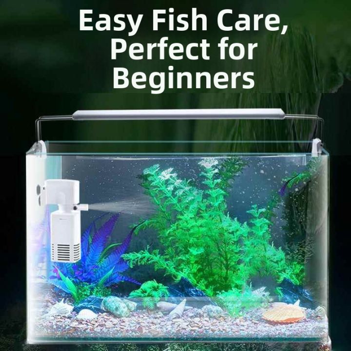 ZHENTAIYUAN | Curved High-Definition Glass Aquarium No Water Change ...