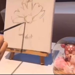 Stretched Canvas Board / Drawing Canvas Panel/ Canvas Frame Oil Painting & Acrylic Painting