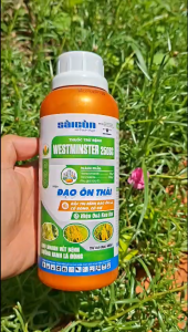 [TRUNG THIEN THINH] Trừ nấm bệnh ĐẠO ÔN THÁI 250SC phòng trừ đạo ôn lá đạo ôn cổ bông trên lúa nếp chai 500ml