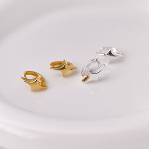 Fashionable Minimalist Four-Pointed Star Small Design Earring Womens Compact North Star Ear Ring High-End Feeling Earring