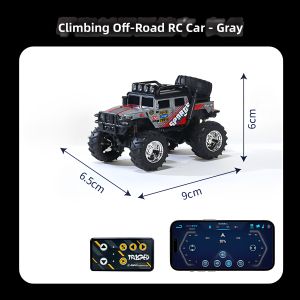 Mini Alloy 4WD RC Car